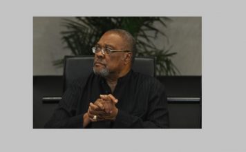 Former Justice Minister says citizens should be allowed to protect themselves