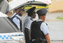 Team Stats of the Multi Disciplinary