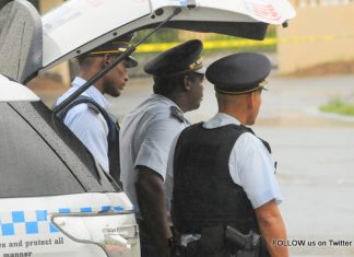 Team Stats of the Multi Disciplinary