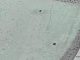 *** POLICE UPDATE *** Eddie Zinhagel shot at his home in Belvedere