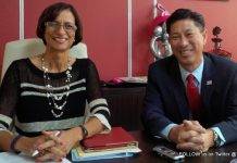 Pérdida de acción total en medio de ideas individuales sin planificación de país