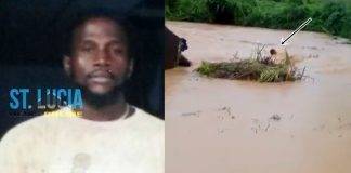{*VIDEO*}: Father of 4 dies trying to save cow; video of failed rescue effort goes viral