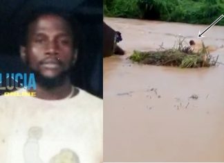 {*VIDEO*}: Father of 4 dies trying to save cow; video of failed rescue effort goes viral