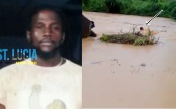 {*VIDEO*}: Father of 4 dies trying to save cow; video of failed rescue effort goes viral