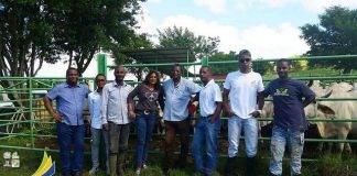 CCI Saint-Martin – Déplacement en Martinique pour la filière élevage