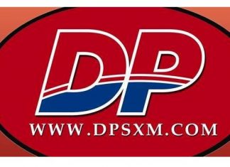 DP Leader condemns racial antics in Parliament