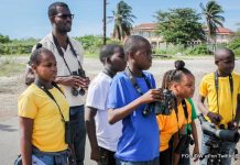 Habitat Restoration Activities Boost Caribbean Migratory Bird Events