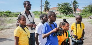 Habitat Restoration Activities Boost Caribbean Migratory Bird Events