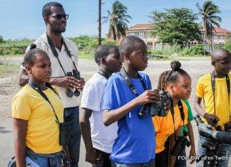 Habitat Restoration Activities Boost Caribbean Migratory Bird Events