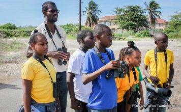 Habitat Restoration Activities Boost Caribbean Migratory Bird Events