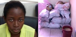 ST KITTS POLICE SEIZE ESTIMATED ECC $7.75 MILLION DOLLARS WORTH OF MARIJUANA ON NEVIS