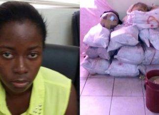 ST KITTS POLICE SEIZE ESTIMATED ECC $7.75 MILLION DOLLARS WORTH OF MARIJUANA ON NEVIS