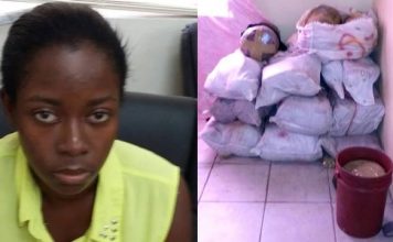 ST KITTS POLICE SEIZE ESTIMATED ECC $7.75 MILLION DOLLARS WORTH OF MARIJUANA ON NEVIS