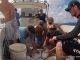 Sharks Tagged in Marine Park As Part of Research to Establish Migration Patterns in Local Waters