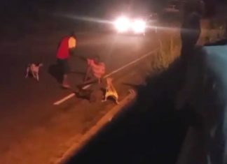 VIDEO: Chopping incident in Piaye, Saint Lucia caught on camera