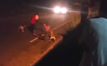 VIDEO: Chopping incident in Piaye, Saint Lucia caught on camera