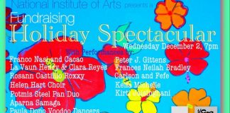 NIA Holiday Spectacular Great Performers Magical Performances