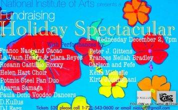 NIA Holiday Spectacular Great Performers Magical Performances
