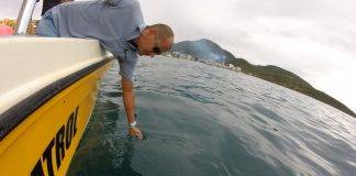 Nature Foundation Responds to Yet Another Oil Spill in Cay Bay