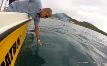 Nature Foundation Responds to Yet Another Oil Spill in Cay Bay