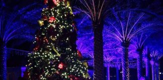 Christmas is coming to WPS on Saturday. You’re invited to the 5th Annual Lighting of the Tree