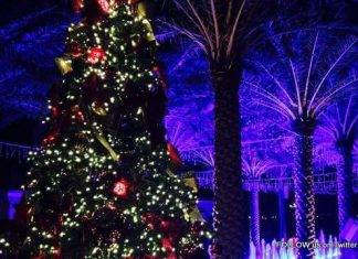 Christmas is coming to Walter Plantz Square on Friday. Great location for visitors, family and friends to celebrate for the season