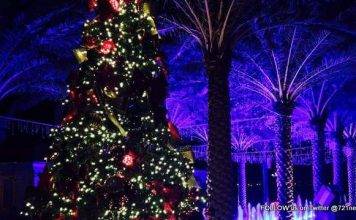 Christmas is coming to WPS on Saturday. You’re invited to the 5th Annual Lighting of the Tree