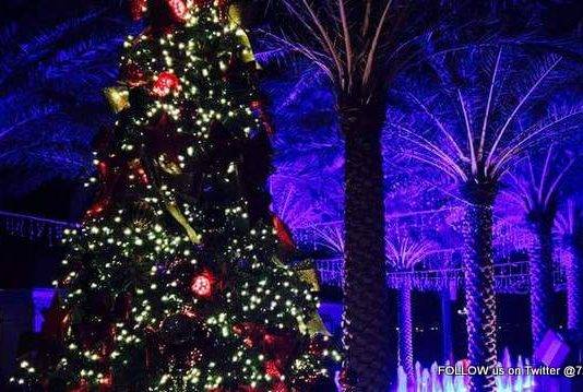 Christmas is coming to Walter Plantz Square on Friday. You’re invited to the Lighting of the Tree