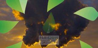 Development Banks Vow to Mobilise Collective Resources to Confront Climate Change