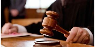 Harbor Holding loses appeal against Dock Maarten building permit