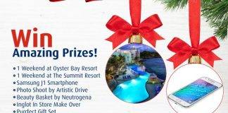 PuntoMio Announces Daily Flights