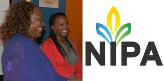 NIPA Board is firing the institute’s instructors and support staff one by one