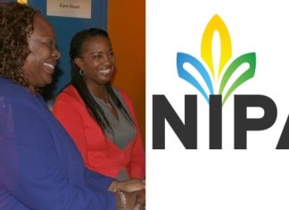 NIPA Board is firing the institute’s instructors and support staff one by one