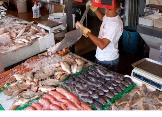 Food Safety Division Intensifies Inspections with Focus on Cleanliness, Temperature Control, and Pest Management (CTP)