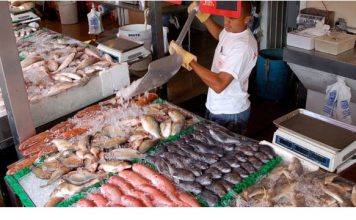 Food Safety Division Intensifies Inspections with Focus on Cleanliness, Temperature Control, and Pest Management (CTP)