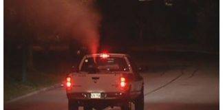 Vector control fogging to commence on Wednesday