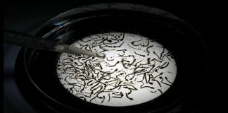 Reminder: Public invited to take part in free zika sero-prevalence study on August 5