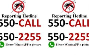 WHO information for travelers visiting Zika affected countries