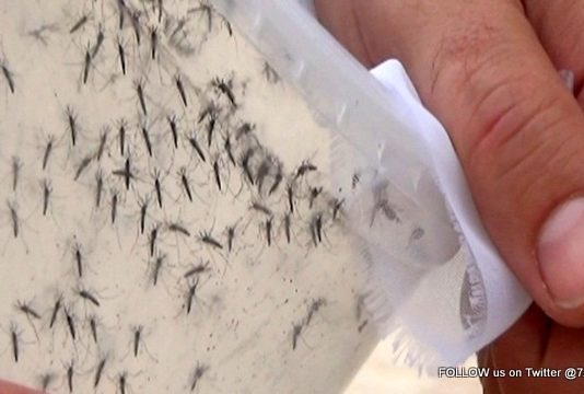 CPS Re-emphasizes use mosquito repellent and take measures to eliminate mosquito breeding sites