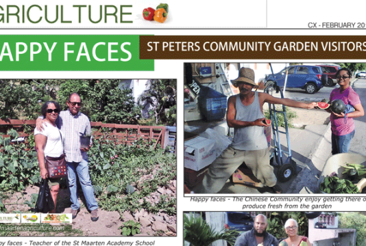 St Maarten’s cultural newspaper releases new edition for February 2016