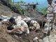 BBC: Dozens dead in Pakistan and India after floods and landslides