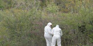 Court of Appeal sentences A.C.L. in the “Cactus case” for murder