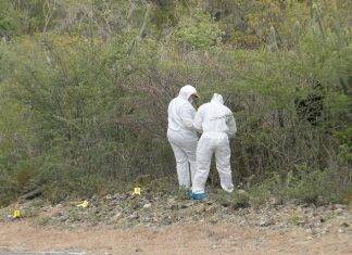 {UPDATED}: Body found in bushes