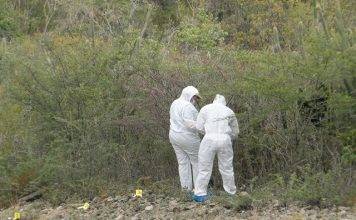 Court of Appeal sentences A.C.L. in the “Cactus case” for murder