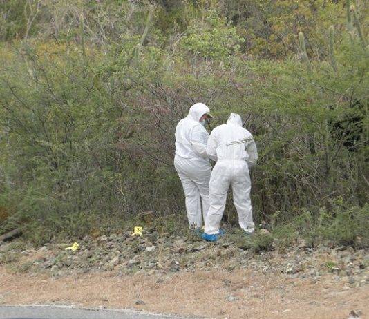 Court of Appeal sentences A.C.L. in the “Cactus case” for murder