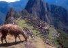 BBC: Tourist dies in Machu Picchu taking photo