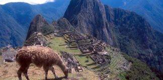 BBC: Tourist dies in Machu Picchu taking photo