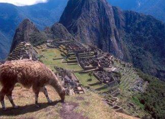 BBC: Tourist dies in Machu Picchu taking photo