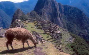 BBC: Tourist dies in Machu Picchu taking photo