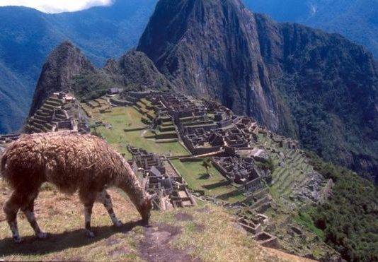 BBC: Tourist dies in Machu Picchu taking photo